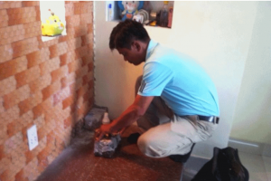 Quy trình diệt mối hiệu quả